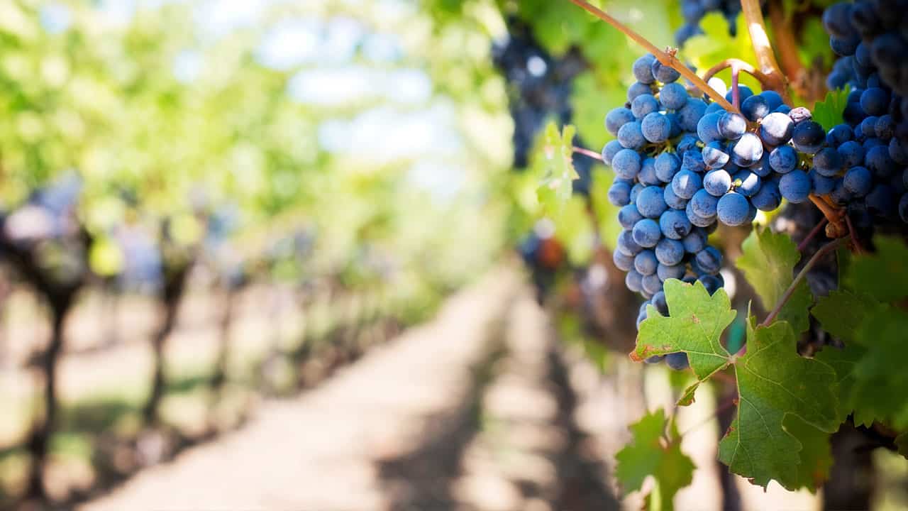 加利福尼亚州资源中心- 美国肝脏基金会, image size:1280x720