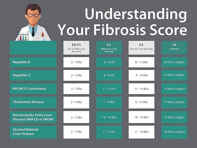 Fibrosis Development